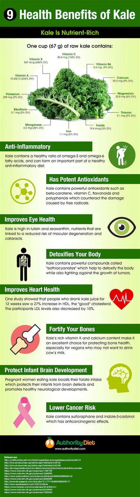 Health Benefits of Kale [Infographic] - Best Infographics