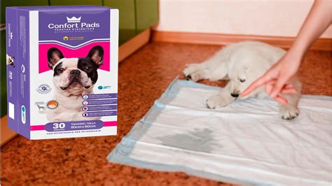 Tapete Higiênico Para Cachorro CONFORT PADS MELHOR Tapete Higiênico