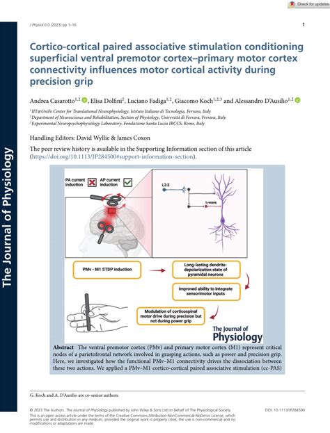 Pdf Cortico Cortical Paired Associative Stimulation Conditioning