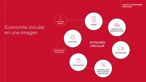 Cápsula 1 ¿qué Es La Economía Circular Upf Bsm