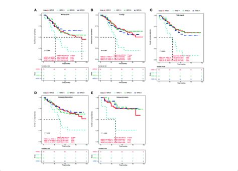 Kaplan Meier Survival Analyses Of Her2 Expression In Crc Patients