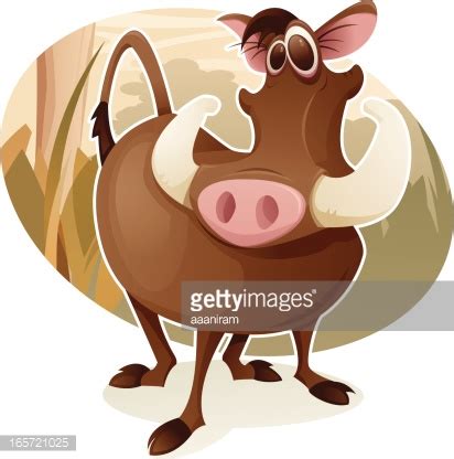 Cute Warthog Stock Vector Royalty Free Freeimages