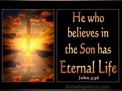 John He Who Believes In The Son Has Eternal Life But He Who Does