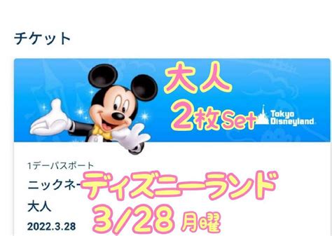 3月28日 月曜日 ディズニーランド 9時入園 大人 2枚 Eチケット 1デーパスポート ペア チケット 3／28 Tdl 春休みディズニー