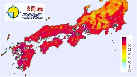 8日（日）東日本中心に大気不安定 急な雷雨に注意 東海以西は”猛烈残暑”続く 俺のドングリ日記