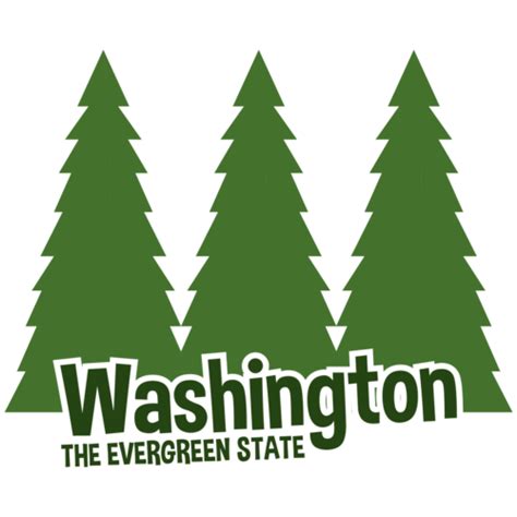 Washington The Evergreen State Washing T Shirt