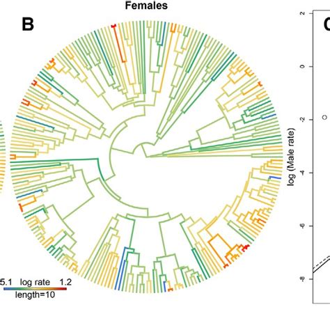 Sex Specific Variation In The Rates Of Evolution Of Gorget Color Download Scientific Diagram