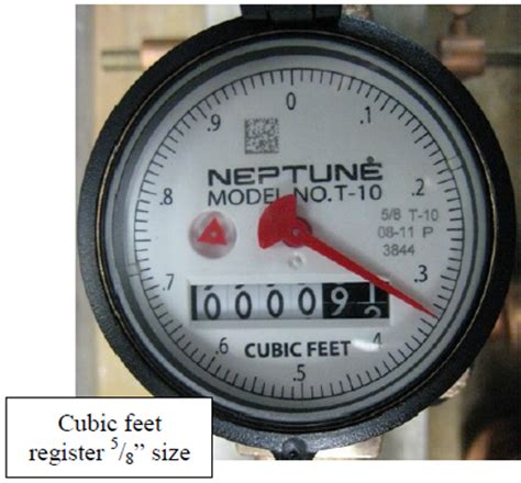 Neptune T 10 Meter Manual