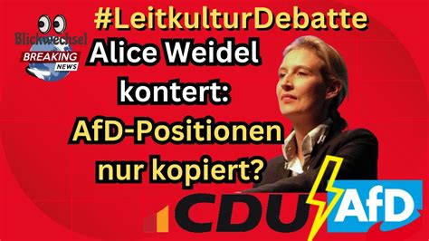 Afd Chefin Weidel Kritisiert Cdu Grundsatzprogramm Als Farce Youtube