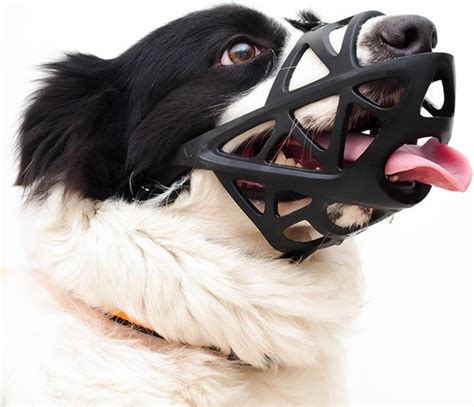 Dog Basket Muzzle For Small Medium Large Dogs Grooming