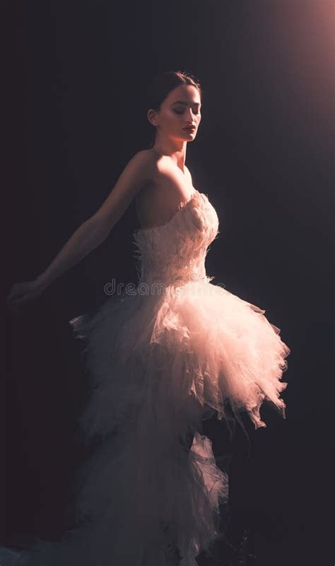 Gorgeous Brunette Model Ballerina Girl With Beautiful Hairstyle And Make Up Stock Photo Image