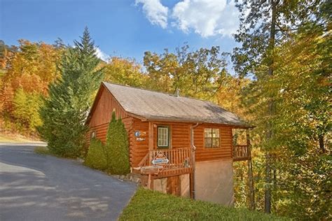 Hidden Springs Pet Friendly Cabin Pigeon Forge Tn