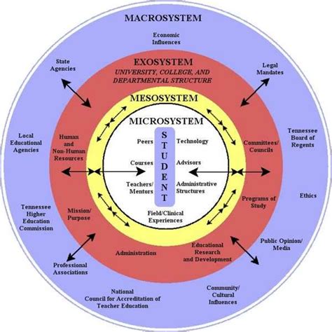 Ecological Systems Theory - Urie Bronfenbrenner | Ecological systems theory, Systems theory ...