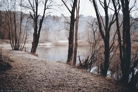 Wallpaper Water Nature Tree Woody Plant Path Reflection Winter