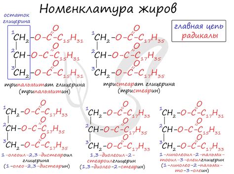 Жиры, подготовка к ЕГЭ по химии
