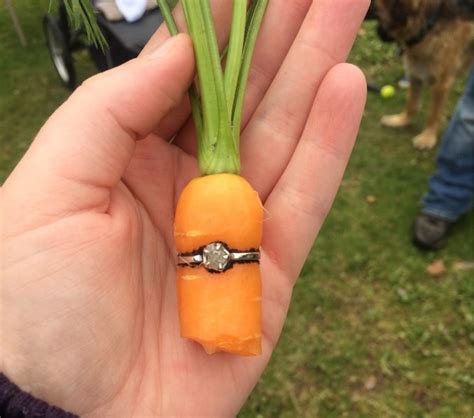 This Man Proposed To His Girlfriend By Planting A Carrot Inside A