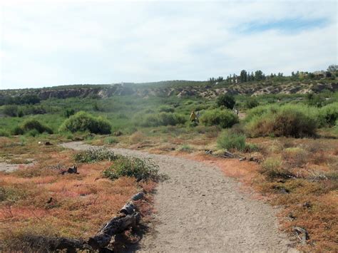 Mesilla Valley Bosque State Park | Mesilla, NM 87045