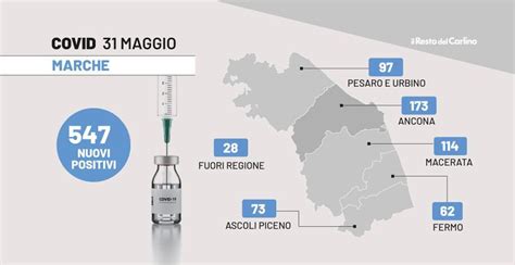 Bollettino Covid Marche Oggi Maggio Contagi E Morti