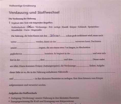 Verdauung und Stoffwechsel. Die Verdauung der Nahrung? (Gesundheit und