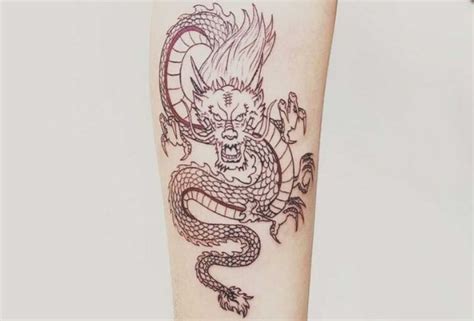 Tatuagem de dragão significado e imagens para inspirar Dicionário de