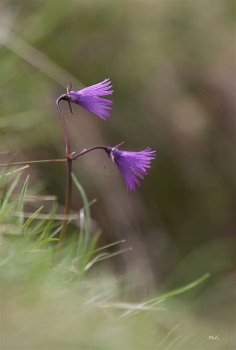 Img Asptt Photo Mont De Marsan Flickr