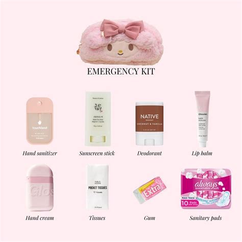 Emergency Kit Essentials School Emergency Kit Emergency Kit School