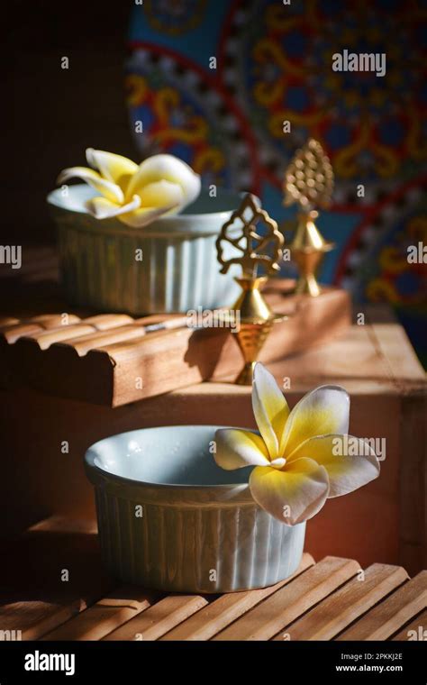 Flower photography,still life Stock Photo - Alamy