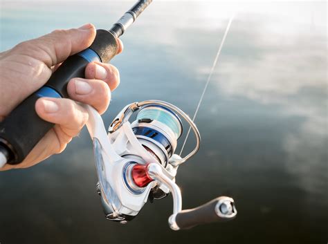 Daiwa Australia | Feel Alive