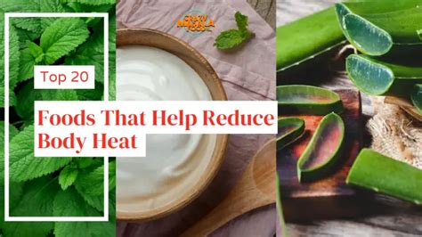 Foods That Help Reduce Body Heat Crazy Masala Food