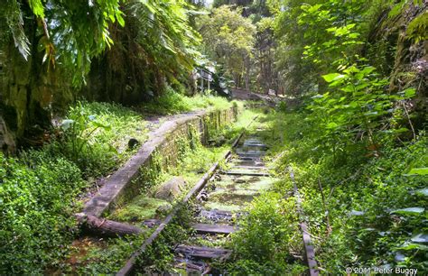 Old Helensburgh Station And Tunnel