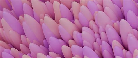 Amazon Anal Plug Flapping Vibrator Male Sex Toys In App Remote
