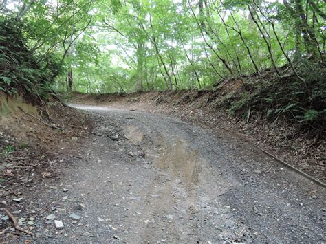 端上林道（撤退）・茨城県道218号大塚真壁線八郷側区間 のら松の旅日記（ブログ版）