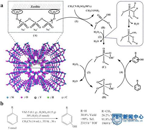 《自然·通讯》报道王军教授课题组分子筛瞬间催化芳环羟基化反应的新成果 搜狐大视野 搜狐新闻