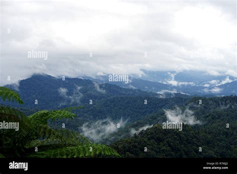 Tropical Mountain Range View View Of Moving Clouds And Fog Over