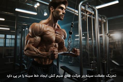 بهترین حرکت برای خط سینه با ۸ متد کاربردی مکمل شاپ