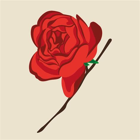 Premium Vector Beautiful Red Rose Flower Vector Illustration