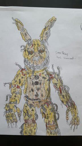 Springtrap Doodle Colored Five Nights At Freddy S Amino