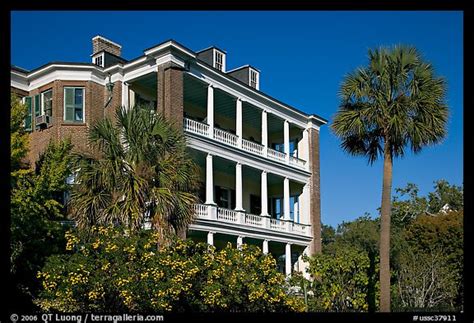 Picture Photo Antebellum House And Palm Tree Charleston South