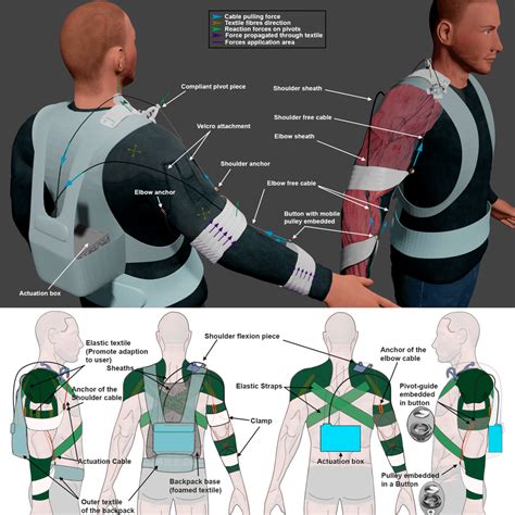 Overall Description Of The Exosuit Design The Forces Considered In The