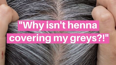 Henna That Covers Grey Hair At Milton Scaggs Blog