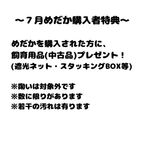 今年5回目の工務店即売会のお知らせ（7月21日） 柿めだか 本巣のその他のイベント参加者募集・無料掲載の掲示板｜ジモティー