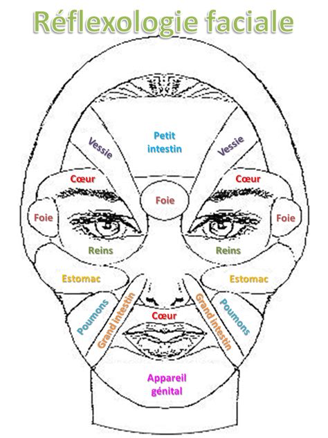 Réflexologie Faciale Simplifiée En Français A Imprimer Reflexology