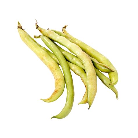 Broad Beans Kilo Albion Fine Foods Ltd