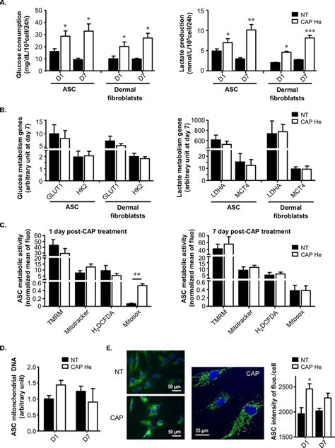 The Senescent Phenotype Is Associated With A Switch To A Glycolytic