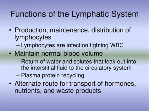 PPT - Lymphatic System PowerPoint Presentation, free download - ID:1434844