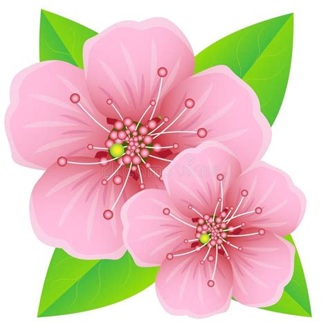 Flores Rosadas Con Las Hojas Verdes Ilustración del Vector