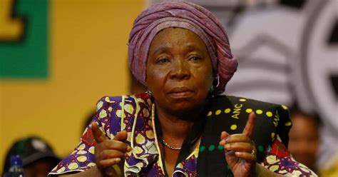 Nkosazana Dlamini-Zuma Says She Will Support the New ANC Leadership, Mzansi Calls Her Out for ...