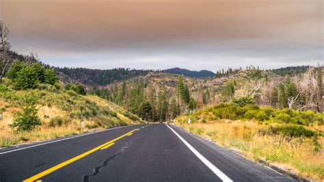 Longitudinal de la Sierra Tramo 4 se adjudicará en diciembre Noticias