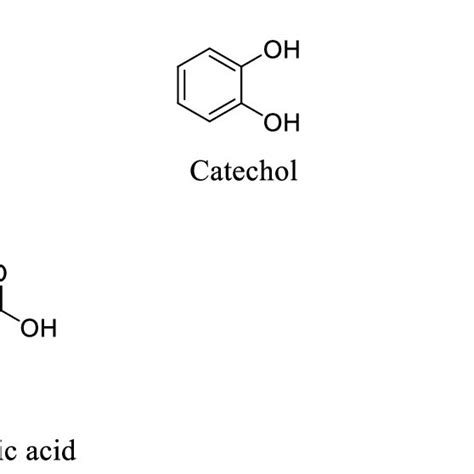 2 Examples Of Simple Phenols And Phenolic Acids Download Scientific