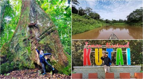 Intip Cantiknya Taman Nasional Kutai Hutan Hujan Tropis Di Kalimantan